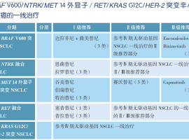 CSCO/NCCN双指南推荐！MET突变肺癌患者必看的12个用药关键问题