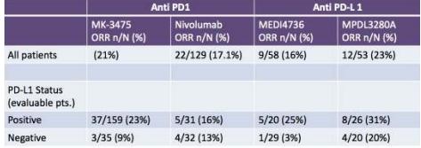 PD-1.JPG